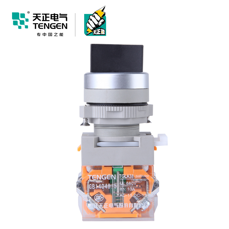 TENGEN天正TGLA39B/38-11X/2 20X/3 11X/3 20X/2按钮旋钮转换开关