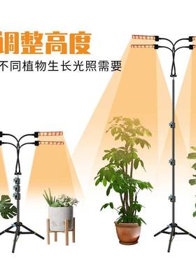 种植le生长灯全光谱落PVZ补地脚架d植物灯室三内多肉光灯育苗折叠