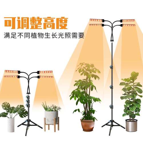 种植le生长灯全光谱落PVZ补地脚架d植物灯室三内多肉光灯育苗折叠