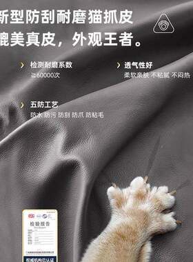 电脑椅见详情人工学办公竞椅子靠背椅座椅家用转体椅大宿电舍书桌