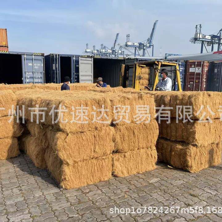 椰棕丝填充物椰丝椰筋短纤维棕丝植物纤维绿化覆盖麻绳园林绿植