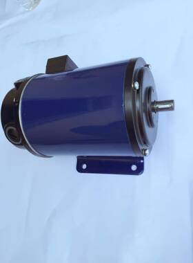 10 SZ021 直流伺服电机552220JSMV1500r/min10SAZ0/A1 卧式安装