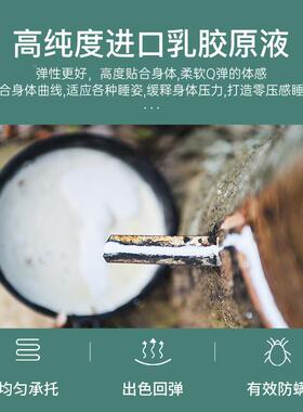 席思弹5簧床垫1米软2垫加厚20cm家用1.租房硬棕垫ODP梦十大