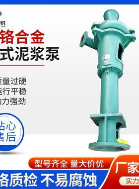 PNL泥浆泵NL清淤液下污水泵NL100-8高扬程无堵塞长杆抽沙抽粪泵