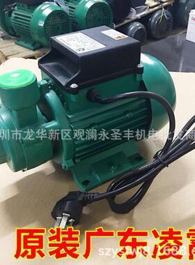 1DB351DB451DB65-B清水泵家用抽水泵330W550W750W