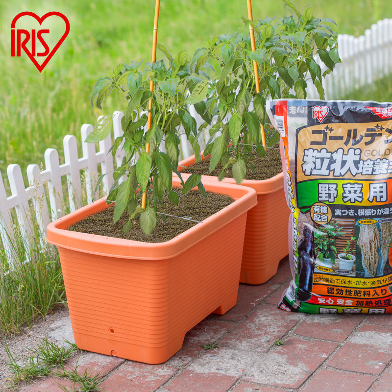 爱丽思IRIS 园艺用品家庭菜园种菜深型种植盆 长方形塑料蔬菜盆