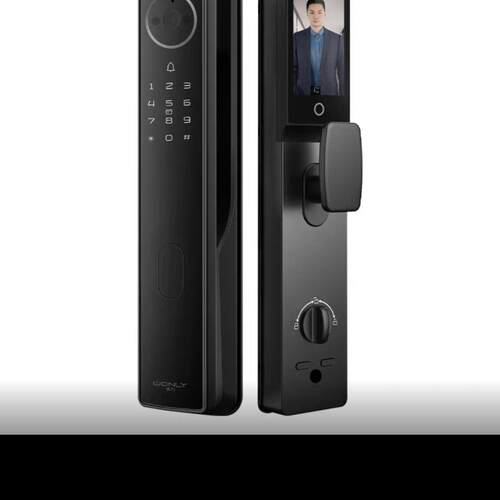 王力S50pro人脸指纹密码