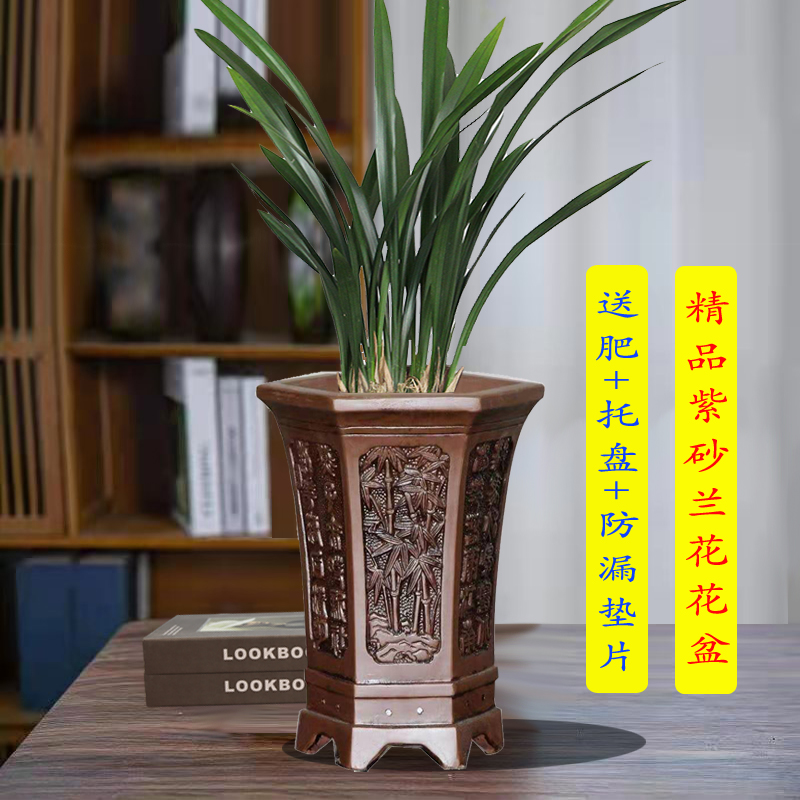 花盆陶瓷大d码兰花花盆六角四方古典兰草兰花盆深高盆墨兰紫砂花