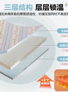 床SXT20241盖新款一面加一面纯棉炕绒盖榻榻米夹棉加厚单床三件双