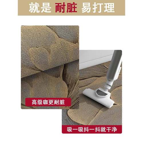 地家垫入户进M7Q96498门地毯门口门用门垫防脚滑客厅轻奢玄关垫可