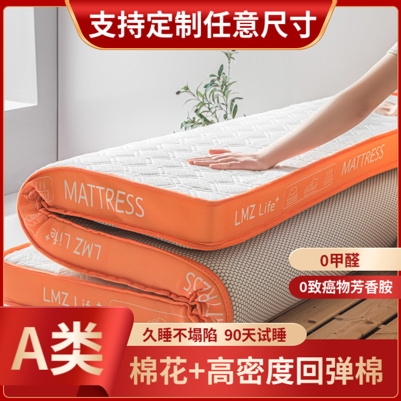 学生宿舍单人床垫高密度回弹棉家用D软垫记忆棉硬海绵榻榻米可定