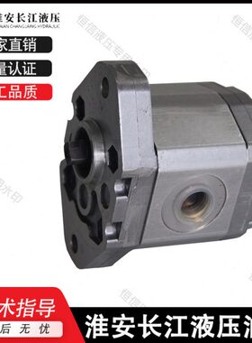 淮安长江齿轮泵HGP-0.5A-04/06/10/12 HGP-1A-1/2/3/4/5/6/8 油泵