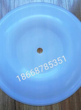 QBY3-50/65隔膜片 边锋气动隔膜片  F46半透明