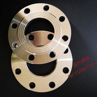 RF化工部304不锈钢平焊PL国标法兰片盘锻打DN200 2009 T20592