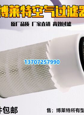 博莱特空压机BLT-50/60A保养空气滤清器1625165463空滤1625165403