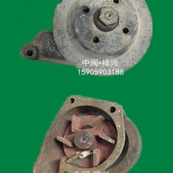 扬动柴油机配件 扬动发动机零件 扬动YSD490水泵 YT490(英田)水泵