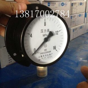 上海天川仪表Y-100T径向带边压力表0-16MPA船用压力表带后边