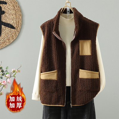 2025秋冬新款街头百搭竖条羊羔毛户外马甲加绒宽松背心女款