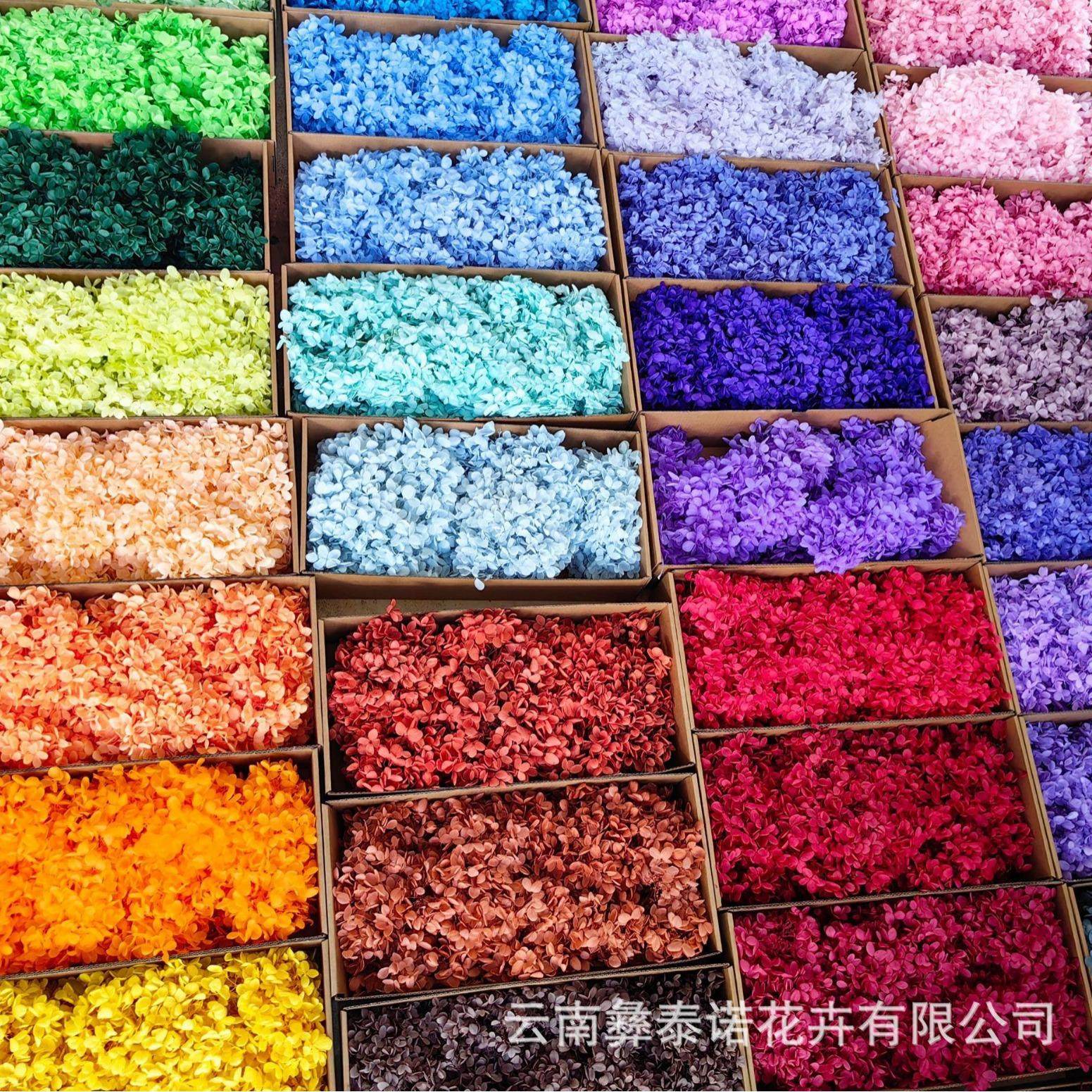 云南永生花木绣球盒装100克现货散装木绣球多色可选保鲜花,家居饰品,餐桌花艺,淘宝优惠券,粉丝福利购,淘宝优惠卷