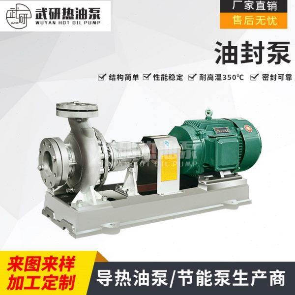 导热油循环泵WRY50-32-160/ 2.2KW 常州温热油泵厂家武研供应,五金/工具,水泵,淘宝优惠券,粉丝福利购,淘宝优惠卷