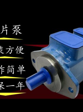 叶片泵PVV2/1-1X/027/055/60/040/036/045-RA15UMB油泵系列