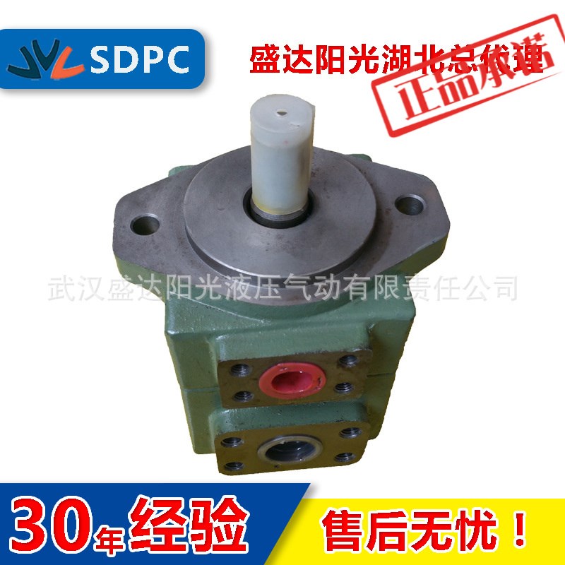 无锡 上海等 定量叶片泵 PV2Rv1-6 PV2R1-8/10 油泵 液压泵 低噪