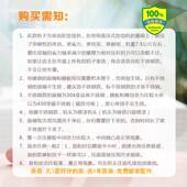双轮家用锈饸饹机手动饸烙粉条不齿QNV钢压机面条机器子小型饸烙