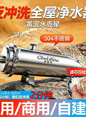 304不锈钢中央净水器拉扯不断PVDF超滤芯井水黄泥自来水大流量
