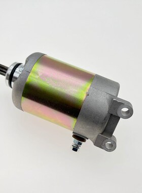 适用踏板车春风CH250 大船250大绵羊V3 V5 CF250起动马达电机碳刷