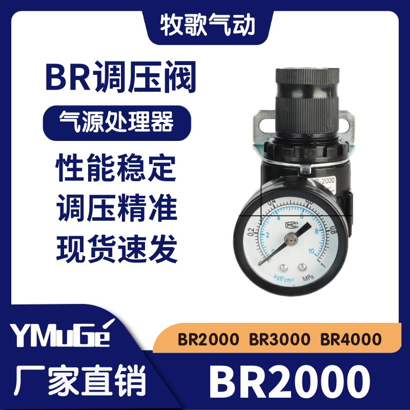气动调压阀空压机气压调节阀气泵气体压力空气减压阀气压表BR2000