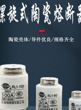 正浩 RL1-60螺旋式熔断器体20A25A30A35A40A50A60A保险丝管380V