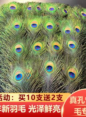 家居饰品摆件纯天然孔雀羽毛花瓶孔雀毛真羽毛孔雀翎尾婚庆装之新