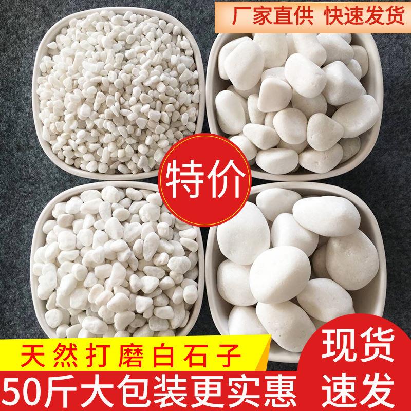 50斤白色石子石头大鹅卵石庭院铺路铺地小白石头园林枯山水白石子
