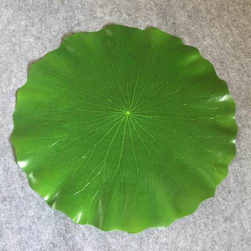 冷菜菜品摆盘塑料薄装饰荷叶 仿真荷花水果店道具叶子假仿真荷叶