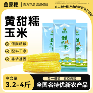 【林依轮】鑫蒙穗黄糯玉米内蒙古新鲜低脂软糯香甜苞谷真空装