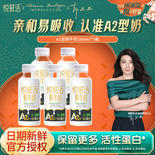 悦鲜活鲜牛奶A2型260ml/260ml鲜奶瓶装低温牛奶多规格可选
