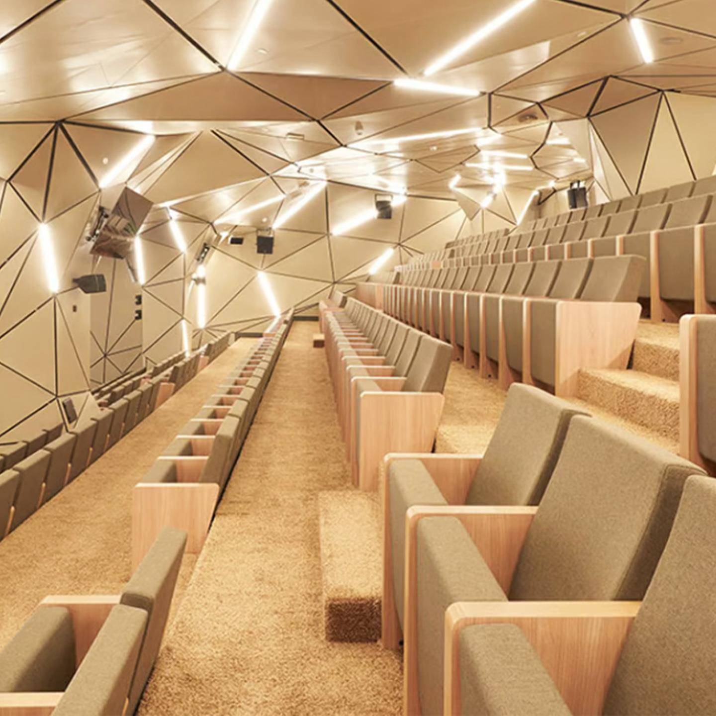 代简现RY668剧院椅礼堂椅排椅约阶梯教室排椅报告厅座椅电院影音