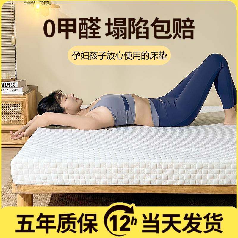 定制高密度床垫加厚榻榻米回弹记忆棉双面软垫被硬海绵家用炕褥