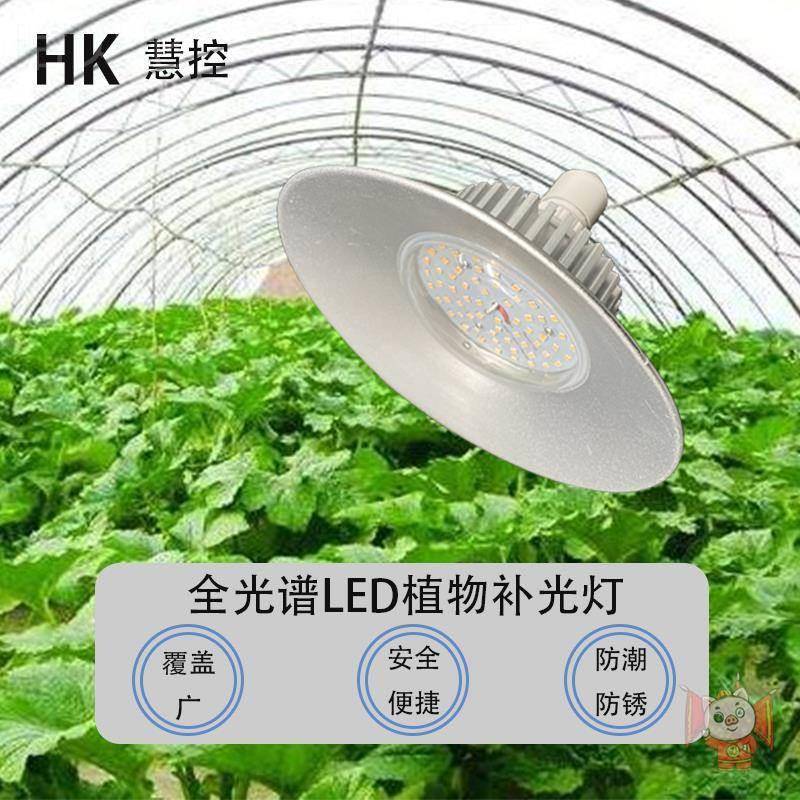 蔬菜光谱全多肉大棚阳台上植物生长灯大功率补光灯种植LED色室内