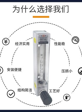 常州双环玻璃转子流量计DK800-2/2F 4/4F 6/6F甲醇丙烷瓦斯流量计