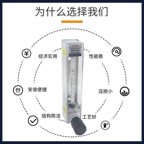 常州双环玻璃转子流量计DK800-2/2F 4/4F 6/6F甲醇丙烷瓦斯流量计