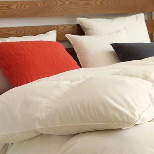 软到离谱b丨加厚保暖 冬季被子被芯 冬被棉被九孔被丝棉被