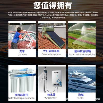 高压增压自吸房车淋浴水泵隔膜泵工业用农业RV泵自动气泵微型便携