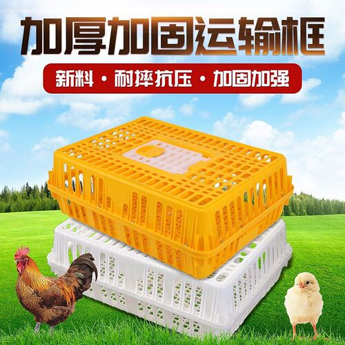运输鸡笼加厚成鸡周转箱特大周转筐鸭鹅鸽子笼家用鸡筐塑料鸡笼子