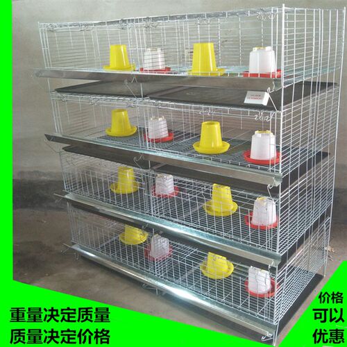 小鸡笼子育雏笼子养小鸡笼子养殖场小鸡笼子育雏笼子养小鸡育雏笼