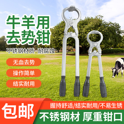 兽用去势钳猪牛羊用阉割钳无血y不锈钢去势钳器械结扎工具夹蛋钳