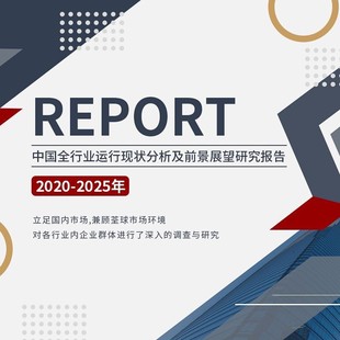 2021版行业报告市场研究竞争分析前景预测产品调研战略及数据分析