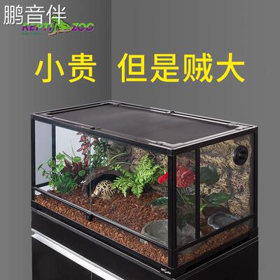 鹏音伴reptizoo爬宠饲养箱变色龙蜥蜴玻璃爬缸多功能宠物居所摆件