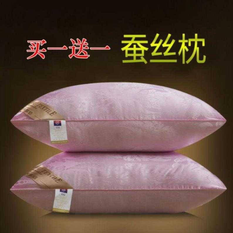 xyt。芯带套芯一对欧式枕头枕芯大号单人睡眠枕双人带枕套一对装