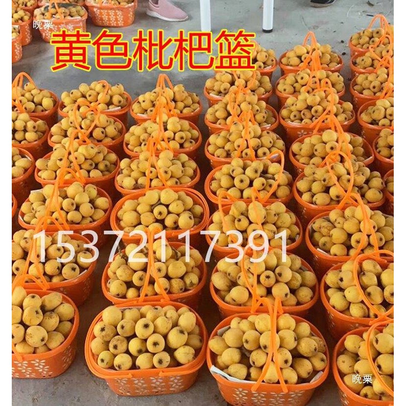 塑料枇杷篮子桔黄色采摘筐 3/4/5斤水果包装篮鸡蛋桔子草莓篮整箱